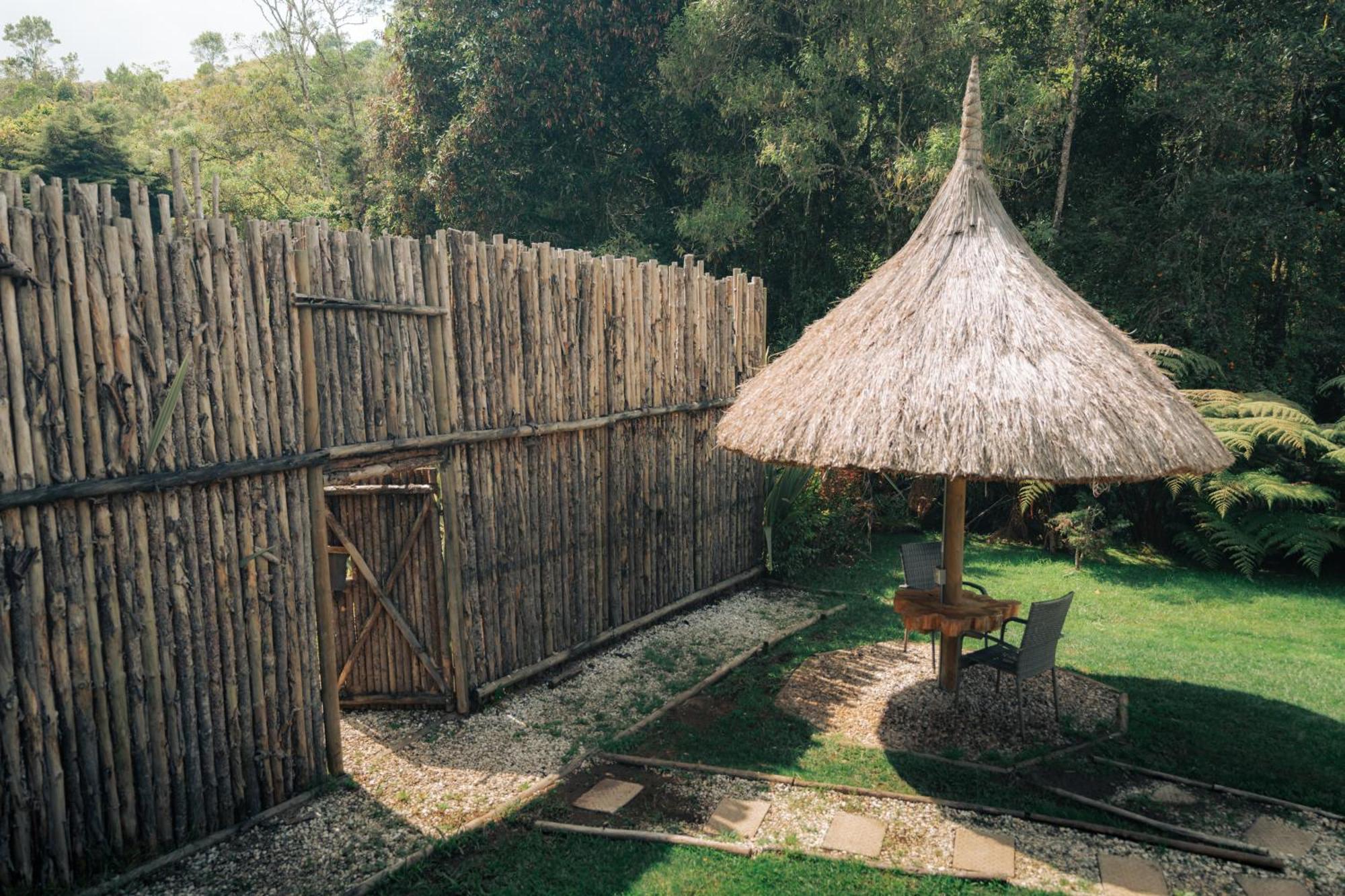 Hotel Bubblesky Glamping 15 Min From Medellin Rionegro Exteriér fotografie
