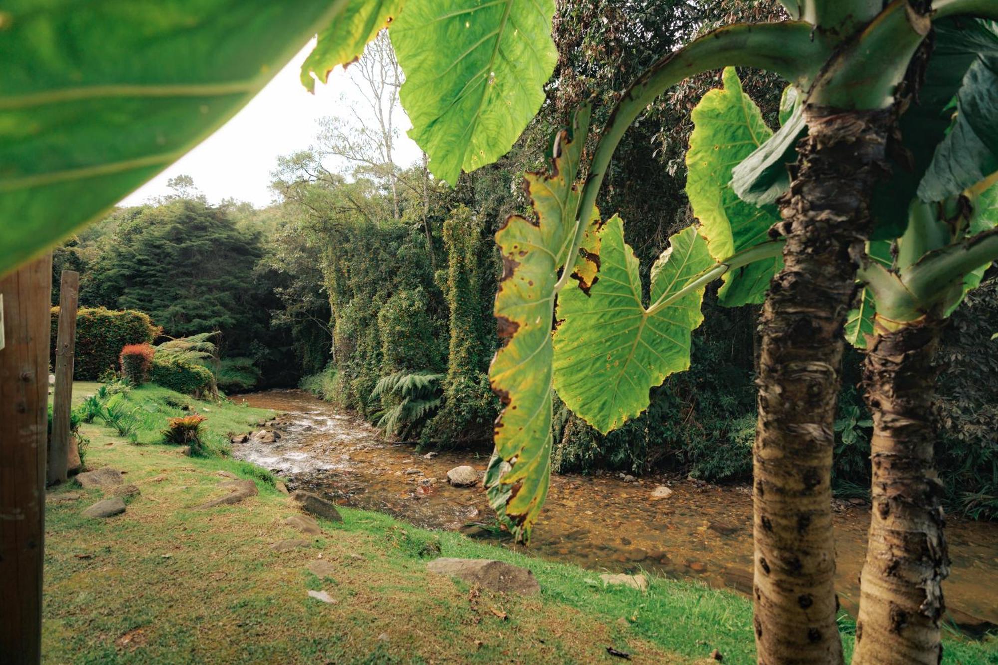 Hotel Bubblesky Glamping 15 Min From Medellin Rionegro Exteriér fotografie