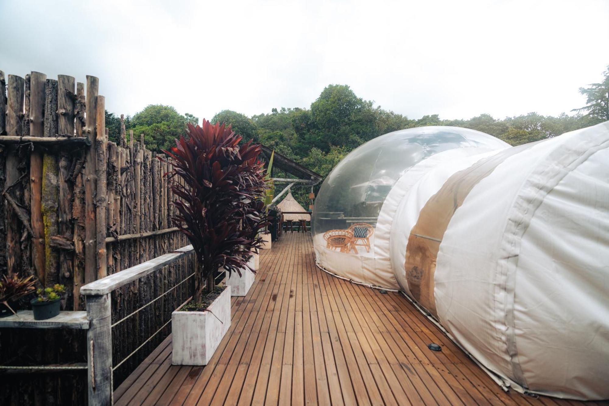 Hotel Bubblesky Glamping 15 Min From Medellin Rionegro Exteriér fotografie
