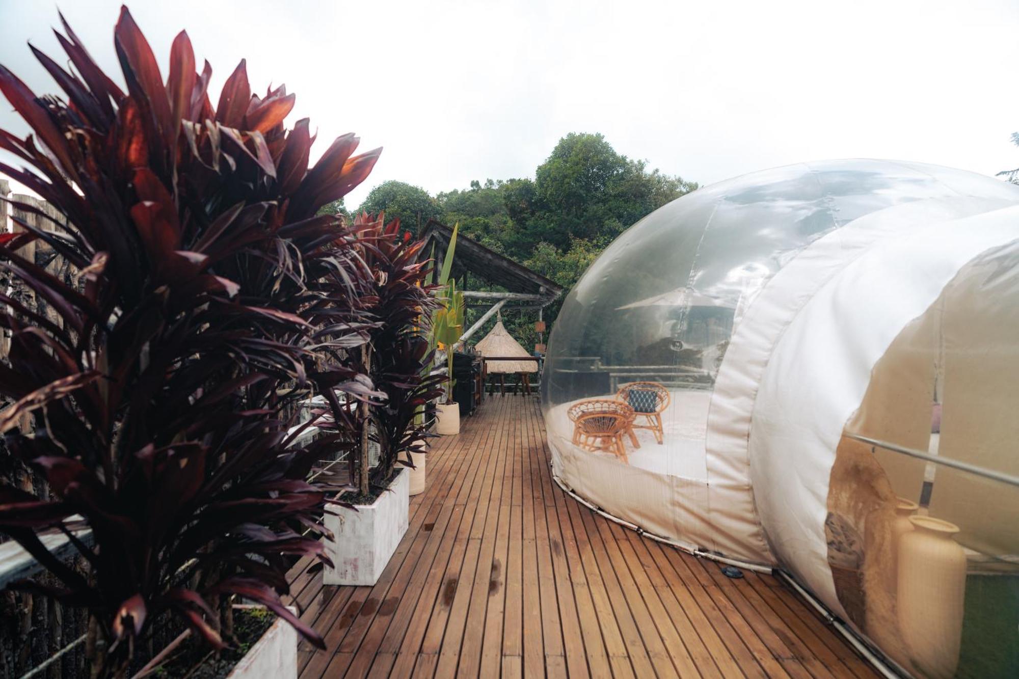 Hotel Bubblesky Glamping 15 Min From Medellin Rionegro Exteriér fotografie