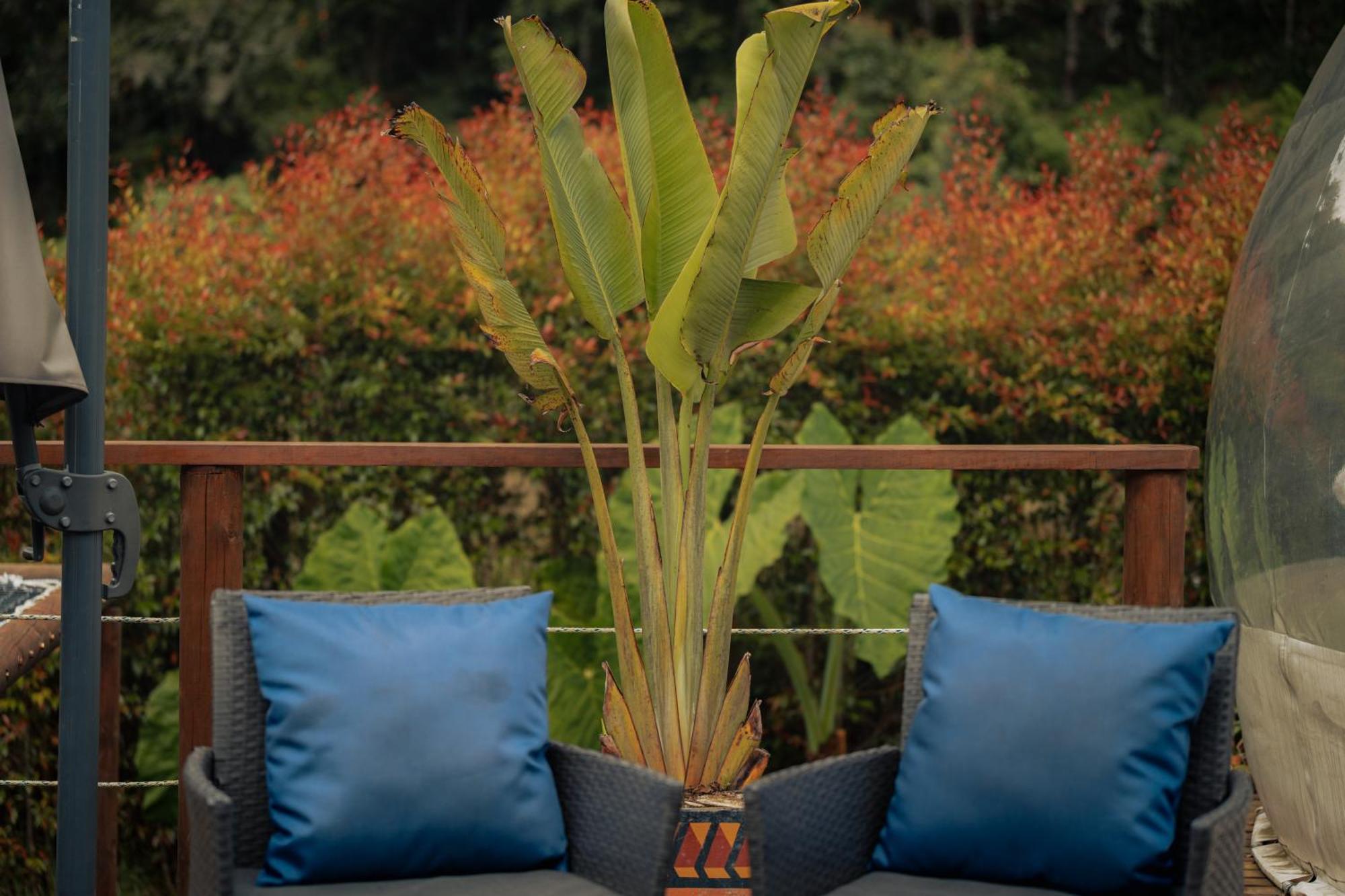 Hotel Bubblesky Glamping 15 Min From Medellin Rionegro Exteriér fotografie